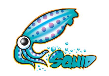 Squid